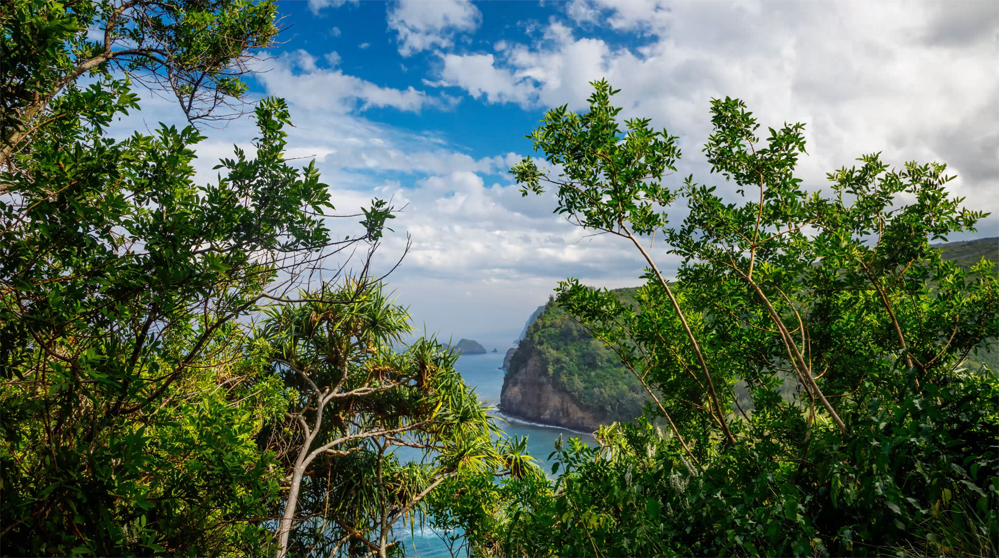 Shoreline of Hawaii