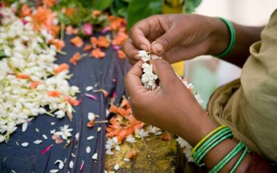 The Sacred Art of Lei Making