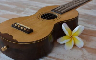 Instruments at Lūʻau